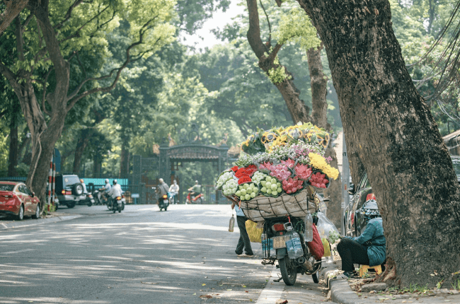Autumn in Hanoi: The Perfect Season