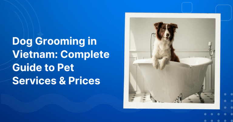 Dog Grooming in Vietnam