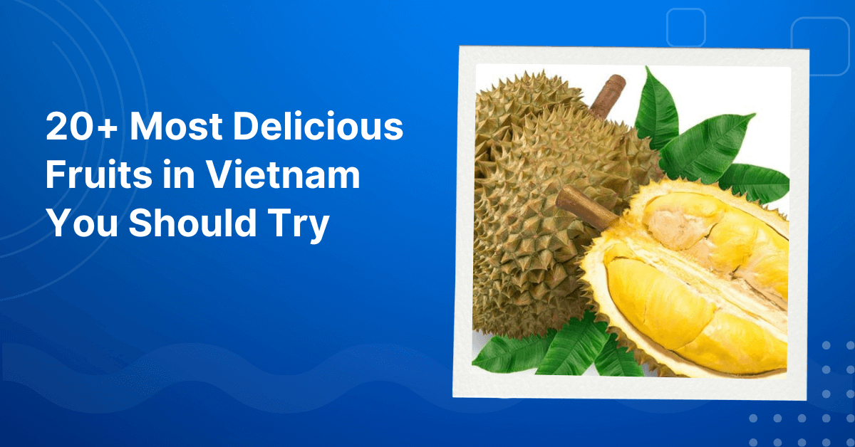 Most Delicious Fruits in Vietnam