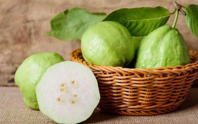 Guava is a common tropical fruit cultivated