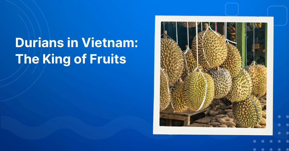 Durians in Vietnam