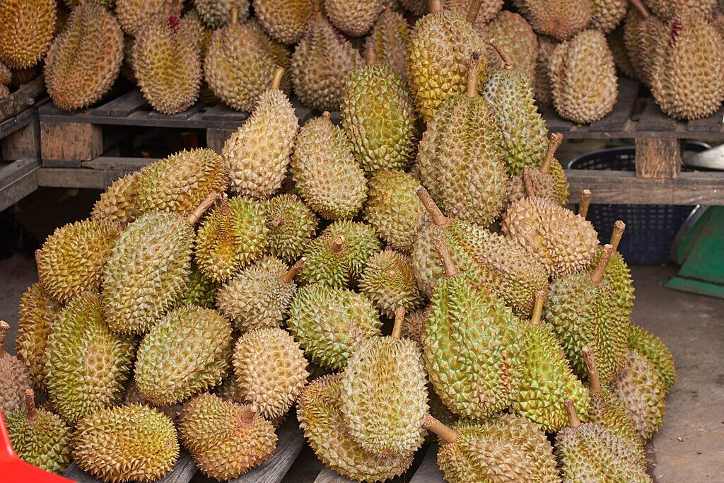 Durians are available in season in markets and supermarkets alike.